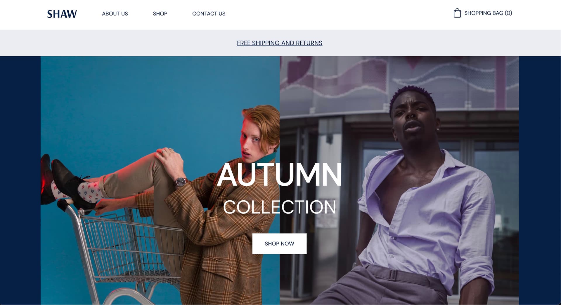 Entrepreneur Portfolio website project by SysCred